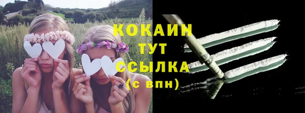 PSILOCYBIN Армянск